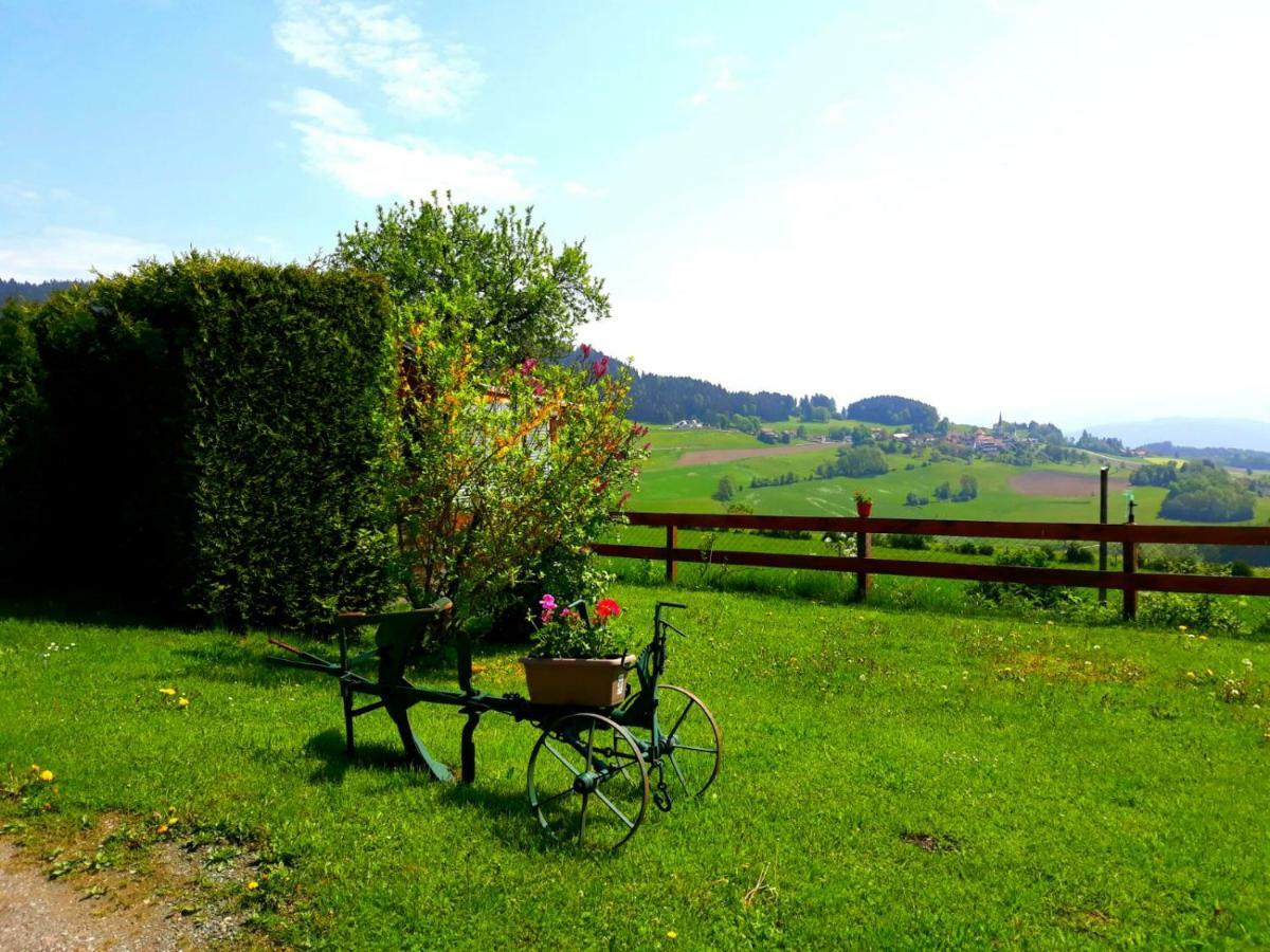 Ferienwohnung Duernberger Liebenfels Экстерьер фото