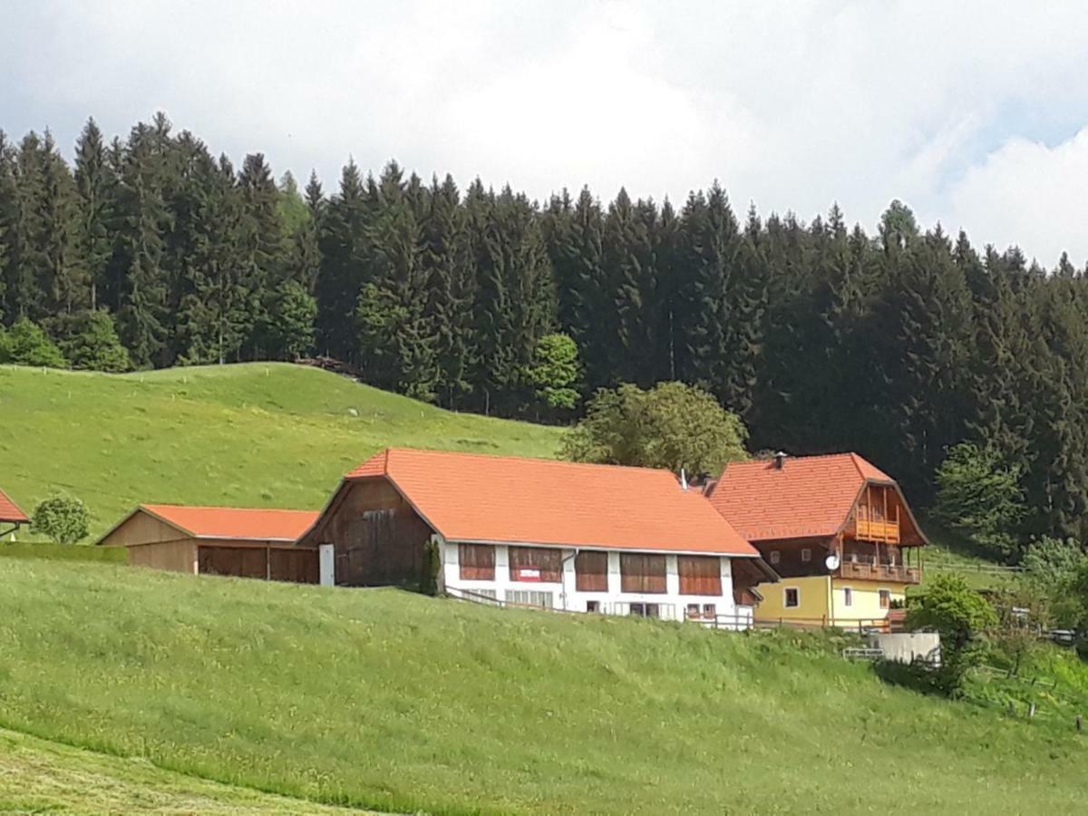 Ferienwohnung Duernberger Liebenfels Экстерьер фото
